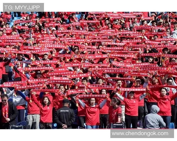 大巴黎与里昂激战正酣比分悬念迭起球迷热情高涨