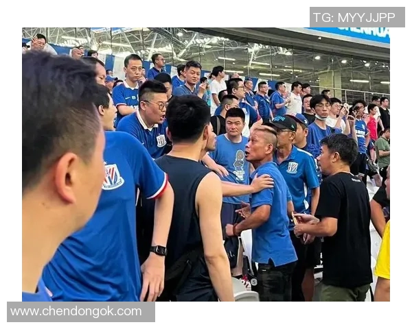 2019年一方与申花激战正酣球迷热情高涨赛场精彩纷呈