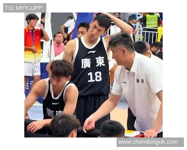 广东男篮对阵深圳男篮CBA精彩录像回放分析与赛后点评