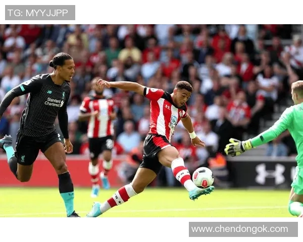 墨雄心与悉尼FC的激烈对决展现足球魅力与团队精神的巅峰较量