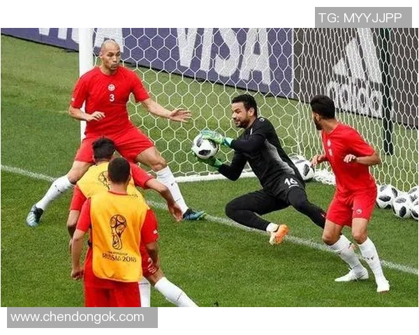 巴拿马与突尼斯精彩对决回顾赛场瞬间与精彩时刻分析