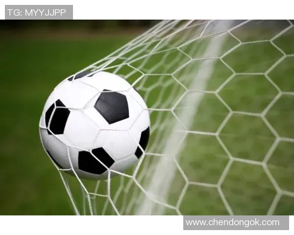 波黑与塞浦路斯世预赛对决展现足球魅力与激情的较量