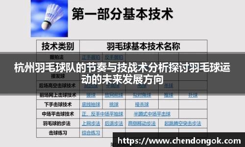 杭州羽毛球队的节奏与技战术分析探讨羽毛球运动的未来发展方向