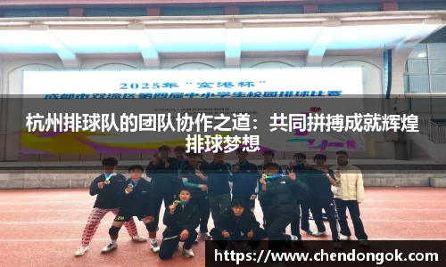 杭州排球队的团队协作之道：共同拼搏成就辉煌排球梦想